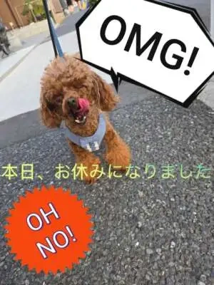 本日、お休みになりました😓