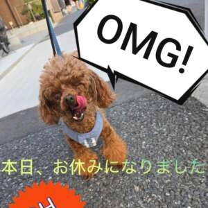 本日、お休みになりました😓