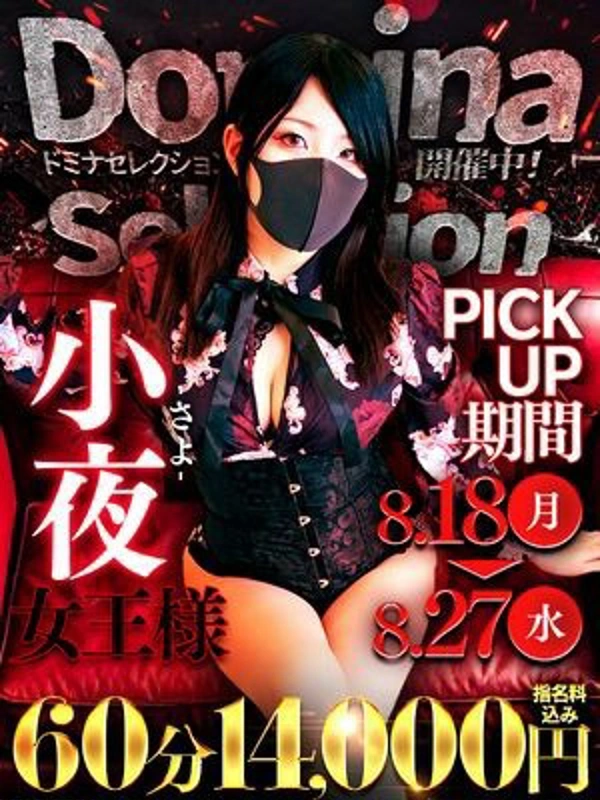 小夜女王様