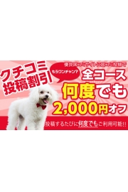 何度でも2000円オフ！！☆★☆口コミ投稿割引2000円オフ