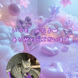 みたよ／シフト