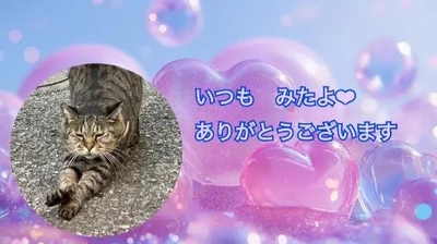 みたよ/シフト