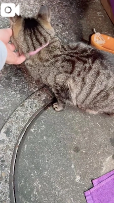 みたよ/ふたりの上司