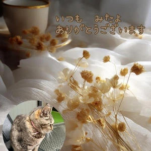 みたよ／シフト