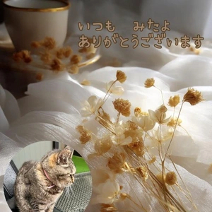 みたよ／シフト