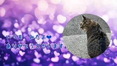 みたよ/シフト