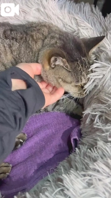 久しぶり