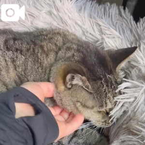 久しぶり