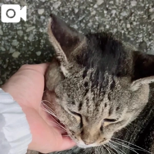 みたよ／シフト