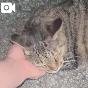 みたよ／シフト