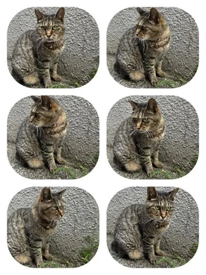 [お題]に回答