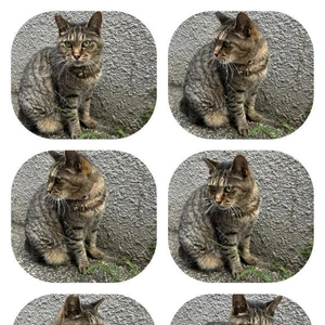 [お題]に回答