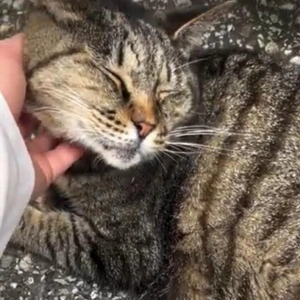 みたよ／シフト