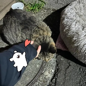 みたよ／シフト