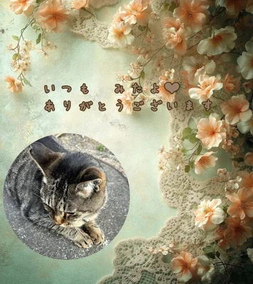 みたよ