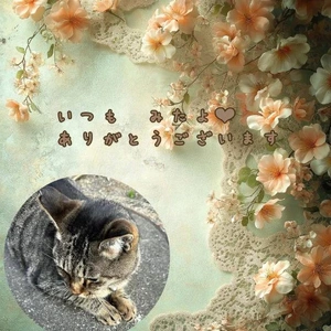 みたよ
