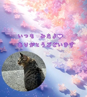 みたよ