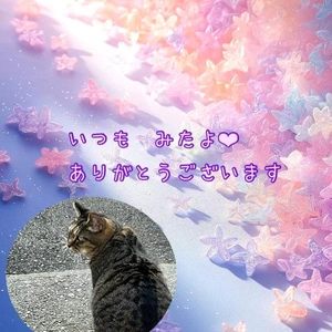 みたよ