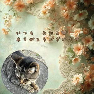 みたよ