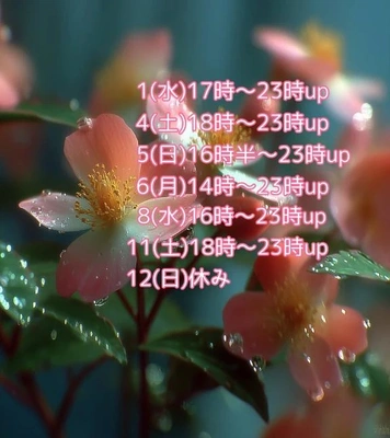 水曜日