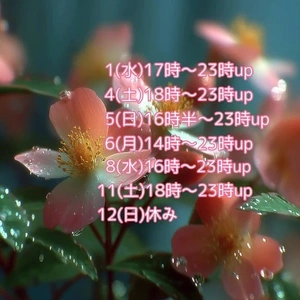 水曜日