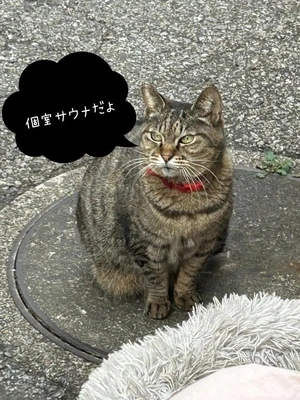 代わる表現方法