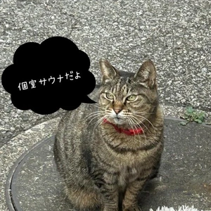 代わる表現方法