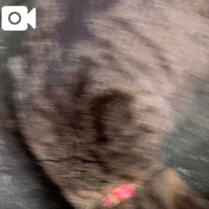 お好きですか？