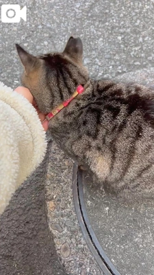 距離縮まる…？／遅いお昼