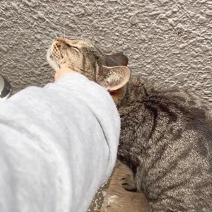 みたよ／面接と店決め／愛情搾取の話