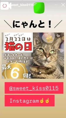 にゃんにゃんにゃん🐈