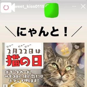 にゃんにゃんにゃん🐈