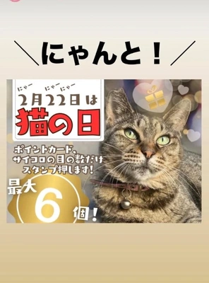 にゃんの日/領収書