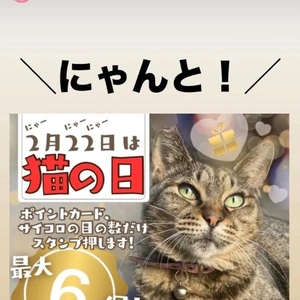 にゃんの日／領収書