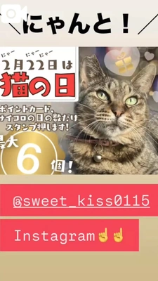 みたよ／2月と3月