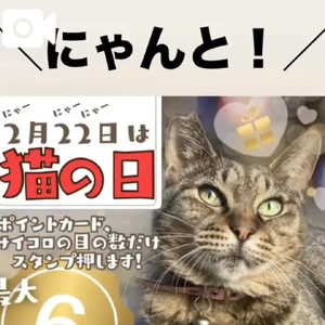 みたよ／2月と3月