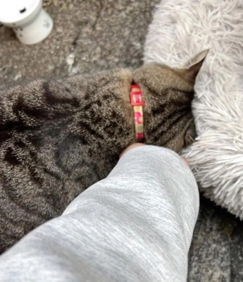 みたよ/時間と労力の話②