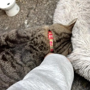 みたよ／時間と労力の話②