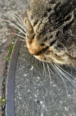 みたよ／時間と労力の話③