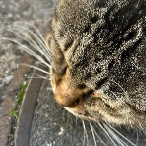 みたよ／時間と労力の話③