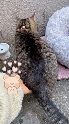 大感謝／シフト