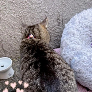 大感謝／シフト