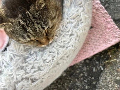 [お題]／楽しい