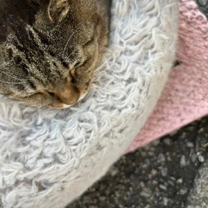 [お題]／楽しい