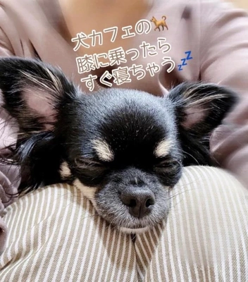 タオルとかドアのタオルとか