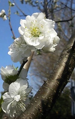 お題／フォローしちゃうよね