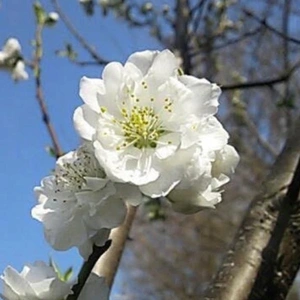 お題／フォローしちゃうよね