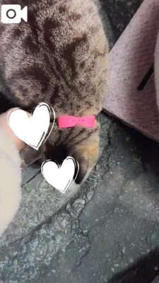 ありがと／シフト