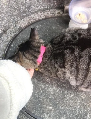 お久しぶりの／スタバ