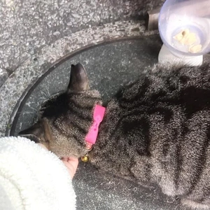 お久しぶりの／スタバ